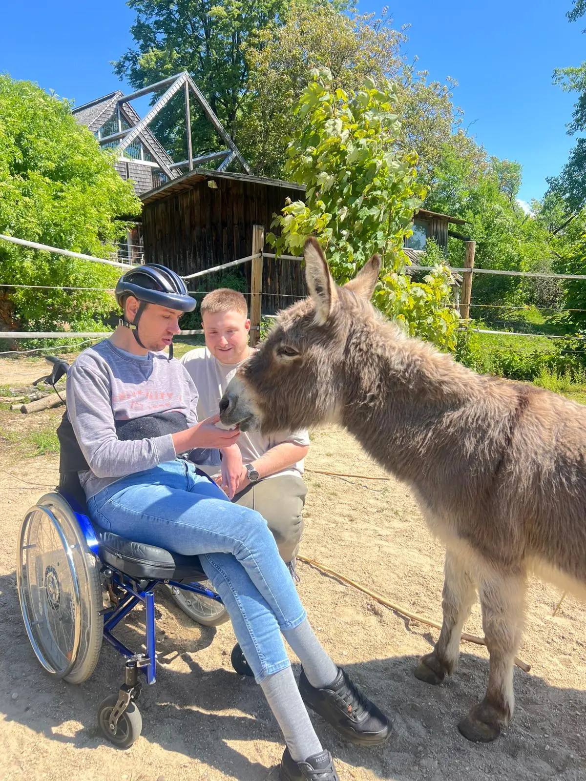 Ruhige Begegnung in der tiergestützten Arbeit bei Herz & Hufe Bayern