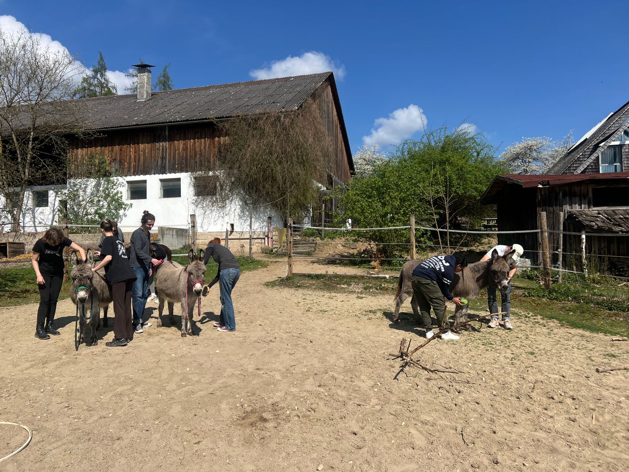 Gruppe bei tiergestützter Arbeit auf dem Hof